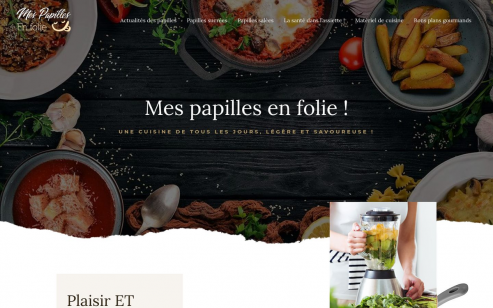 https://www.mespapillesenfolie.fr